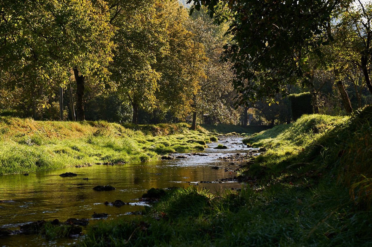 Communes Baume les Messieurs BI-0216